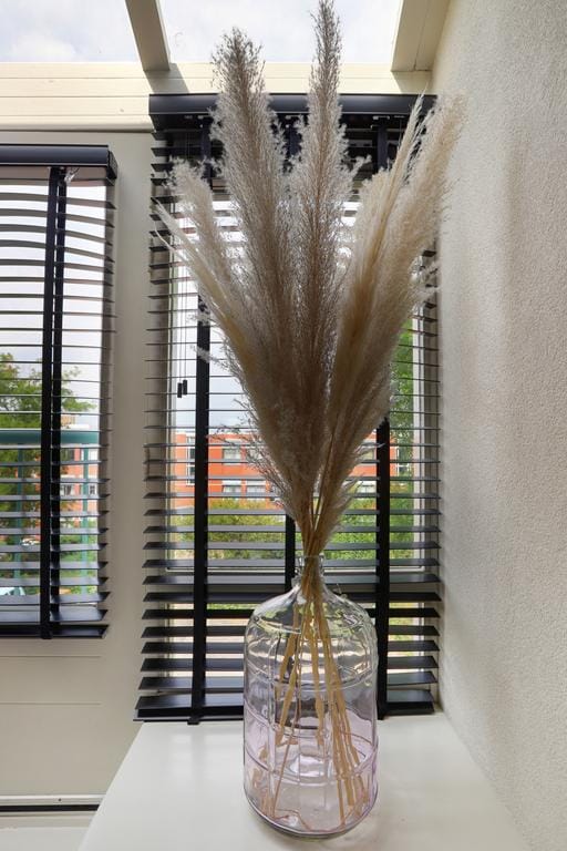 Foto 10 van Graafwijkstraat 66