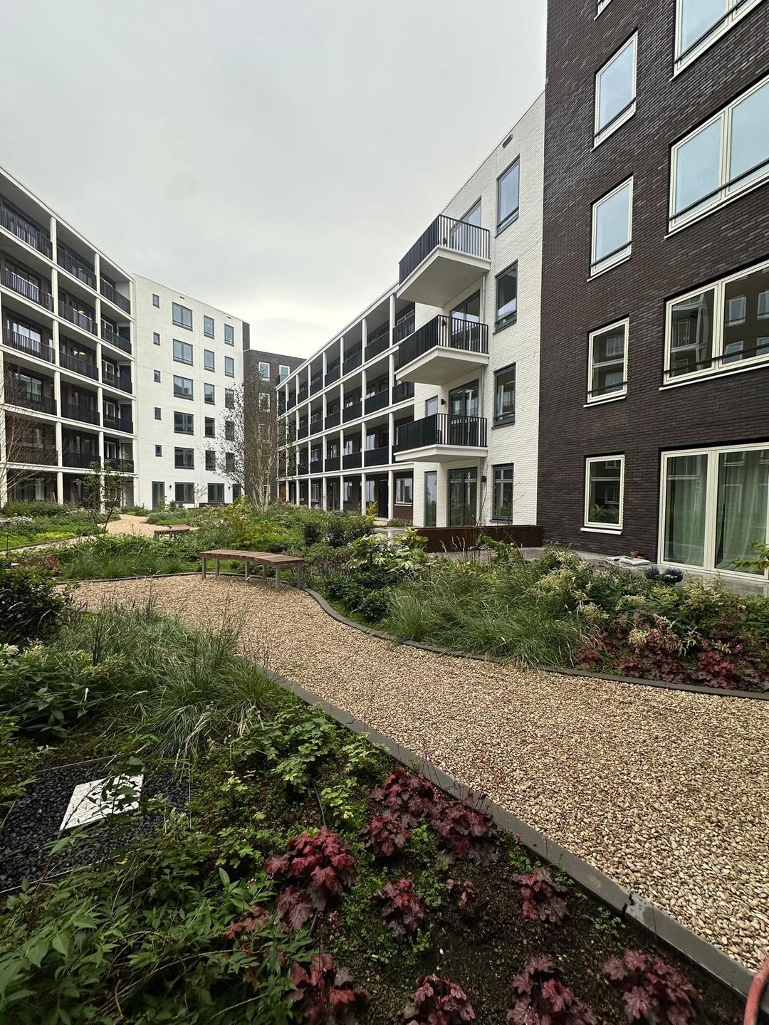 Photo 2 of Gedempte Where 11