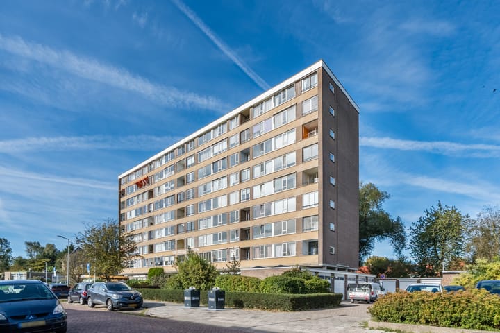 Foto 28 van Jan van Goyenstraat 298