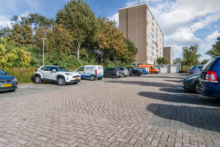 Foto 29 van Jan van Goyenstraat 298