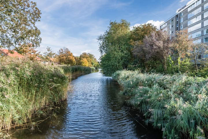 Foto 30 van Jan van Goyenstraat 298