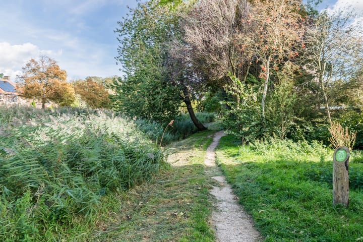 Foto 31 van Jan van Goyenstraat 298