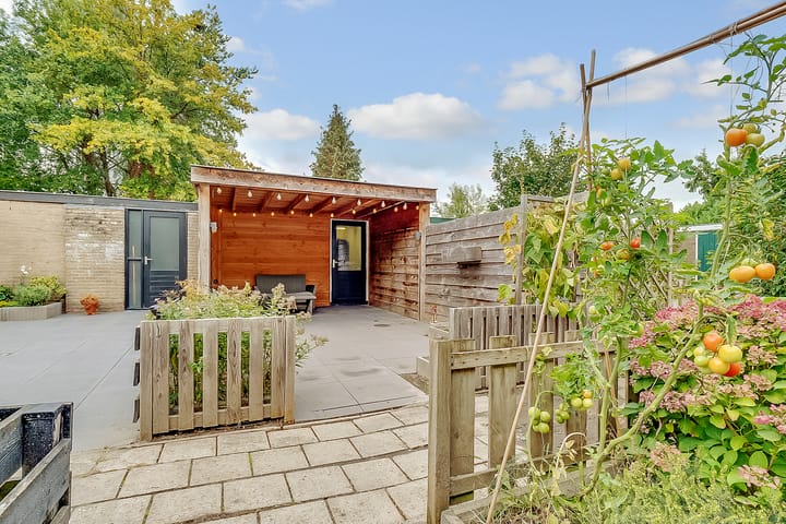 Foto 28 van Johannes Wierlaan 32