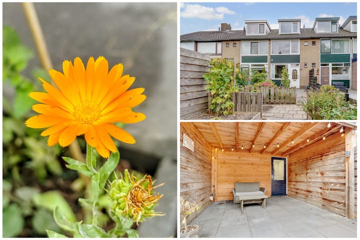 Foto 29 van Johannes Wierlaan 32