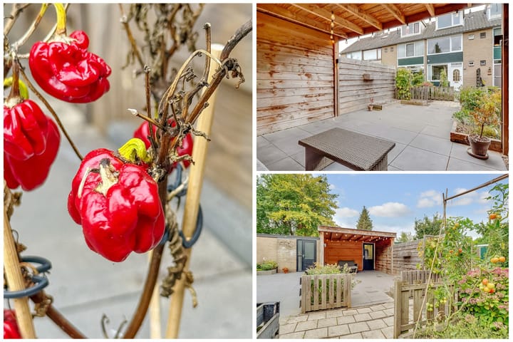 Foto 31 van Johannes Wierlaan 32