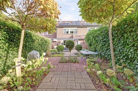 undefined main image