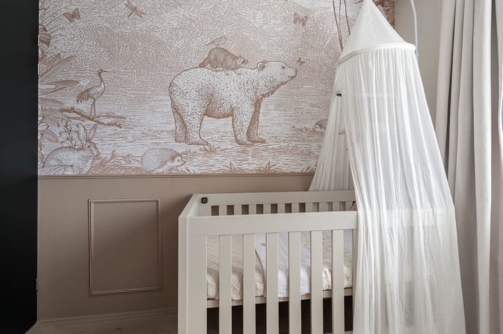 Foto 27 van P.J.W. Beltjeslaan 9