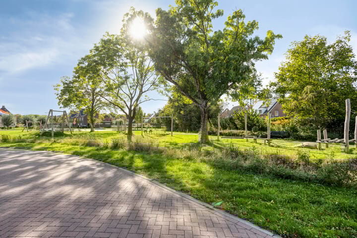 Photo 31 of Lemoenappel 7