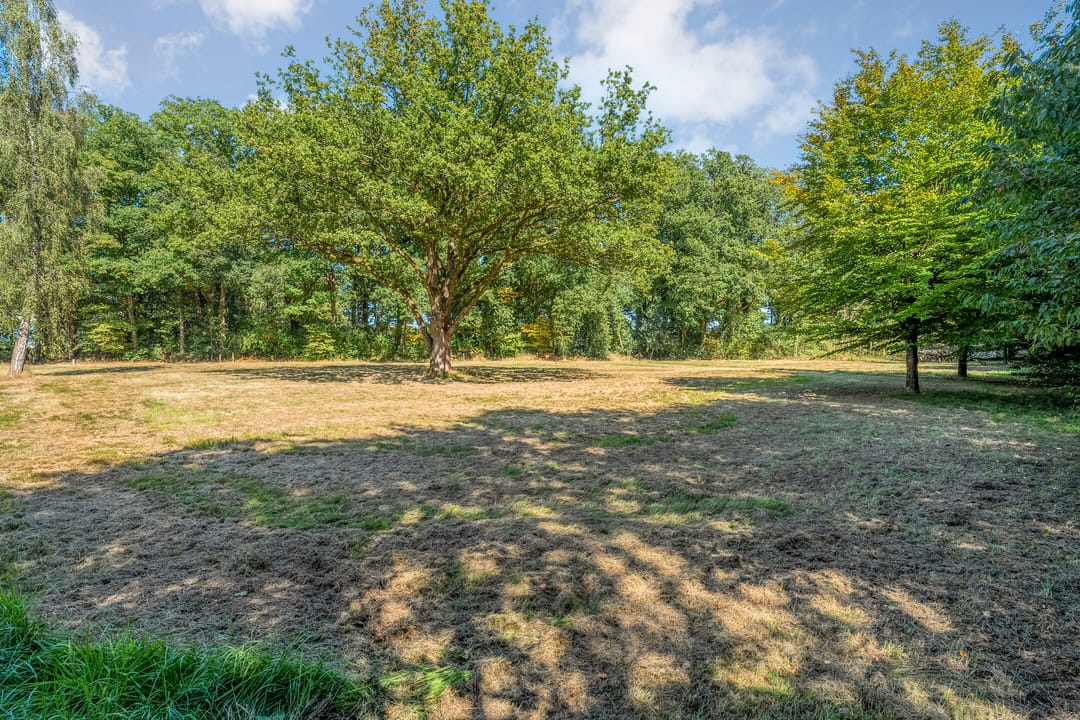 Foto 8 van Middenweg 20 (West kavel)