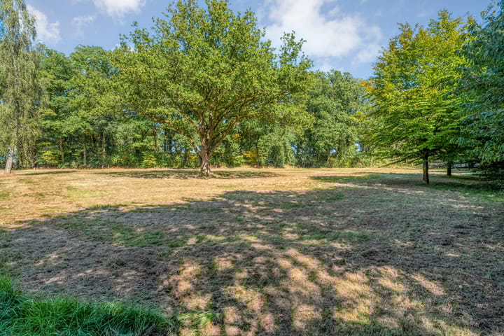 Foto 8 van Middenweg 20 (West kavel)