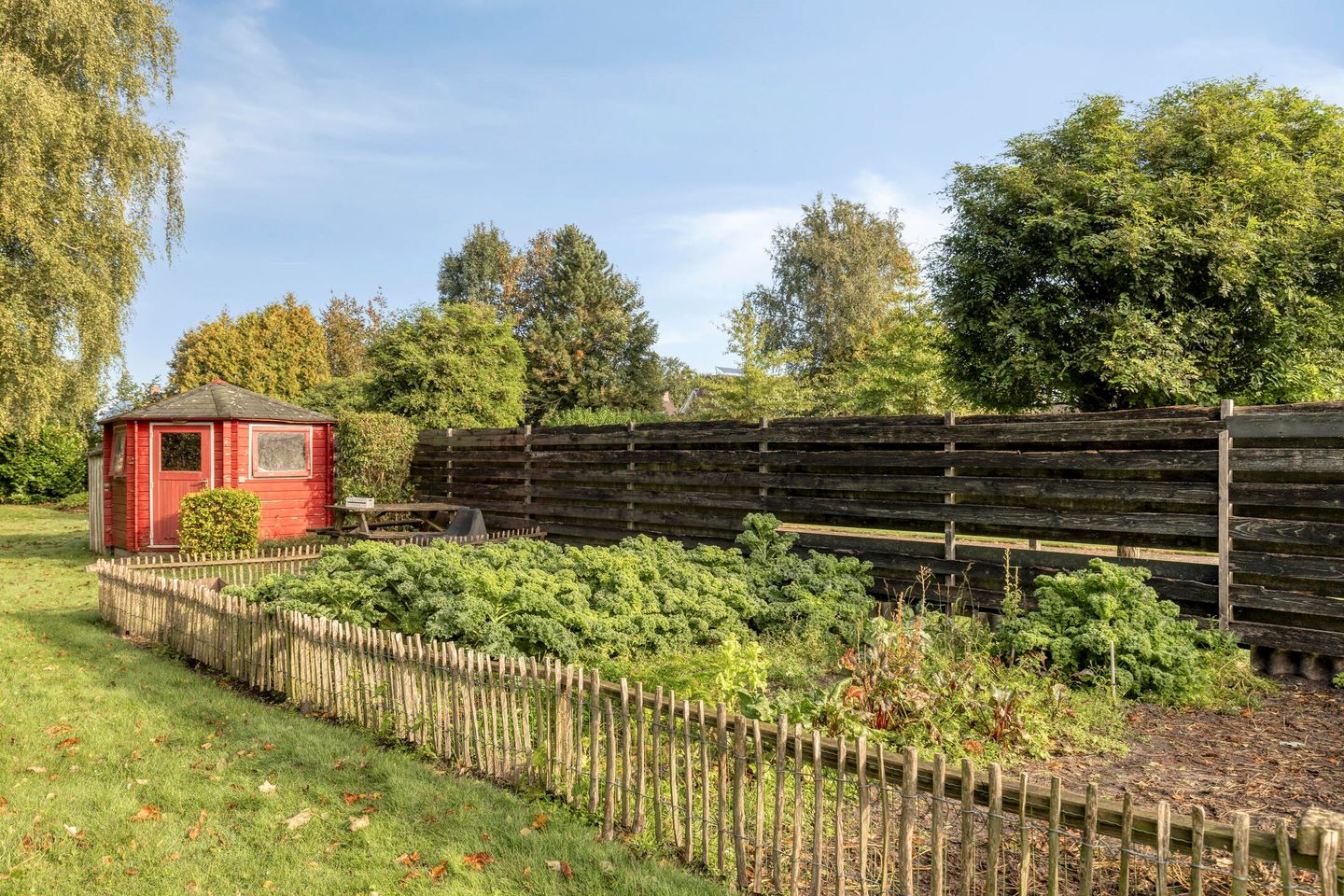 Foto 49 van Zuiderdiep 483