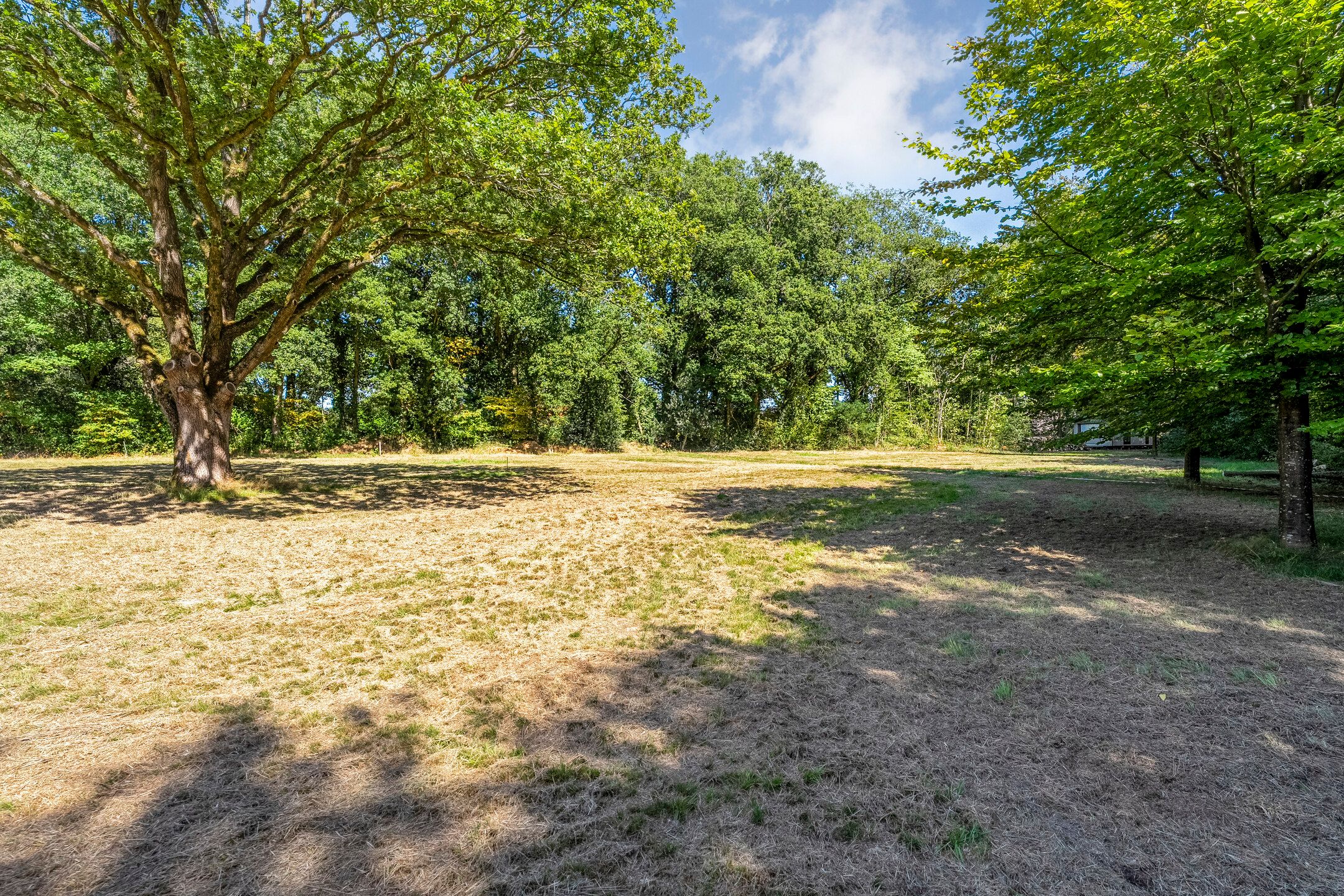 Foto 9 van Middenweg 22 (Oost kavel)