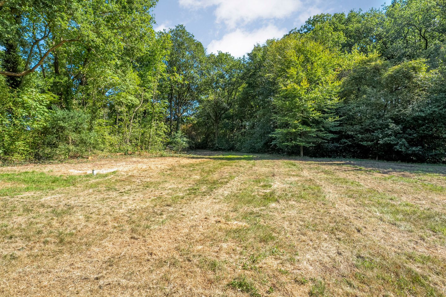 Foto 14 van Middenweg 22 (Oost kavel)