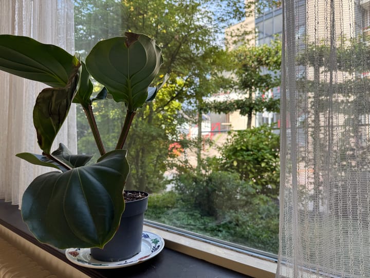 Foto 5 van Molenbeekstraat 2