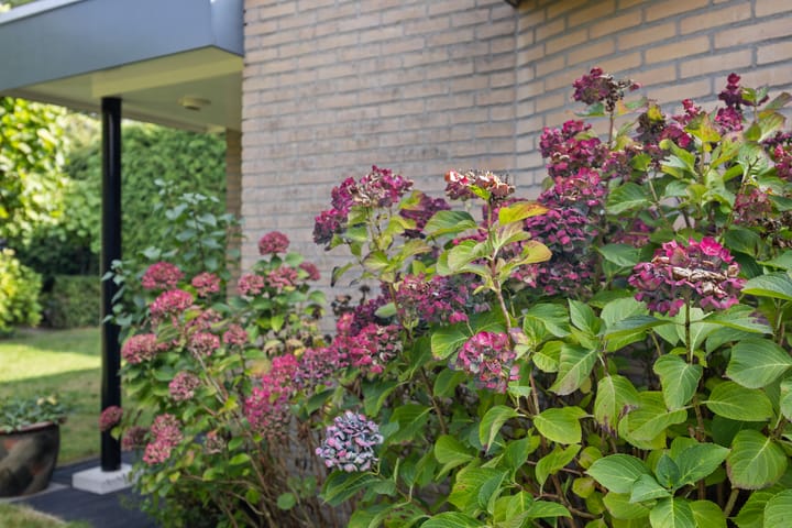 Foto 35 van Laan ten Habraken 2