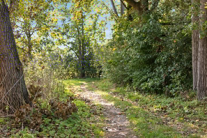 Foto 71 van Laan ten Habraken 2