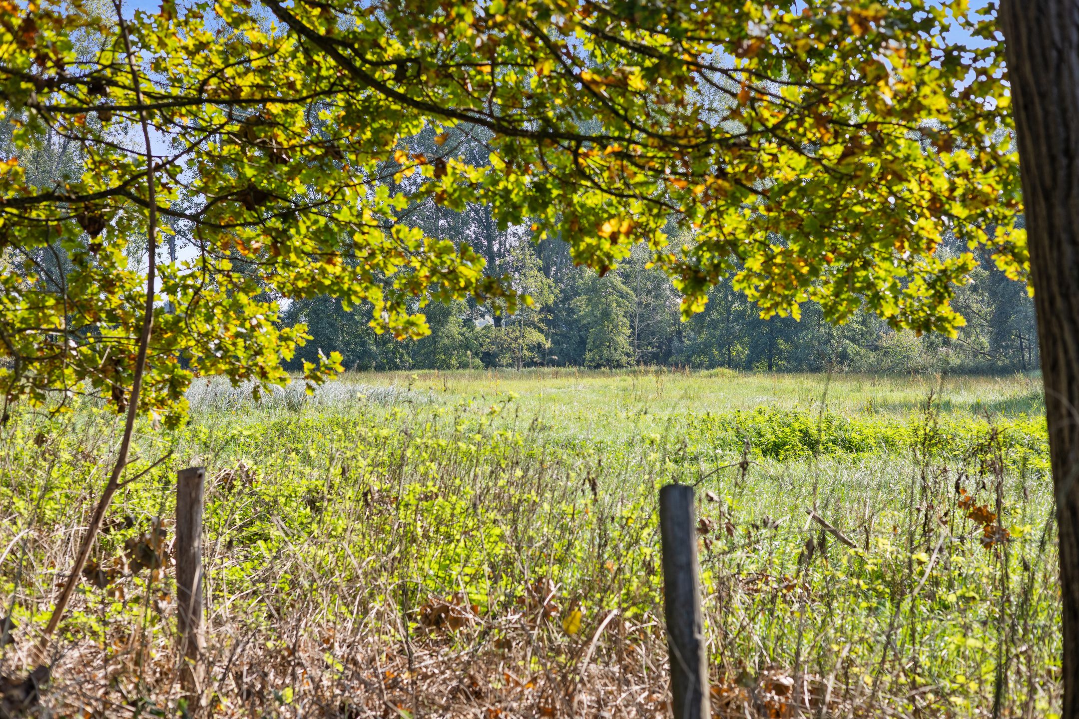 Foto 72 van Laan ten Habraken 2