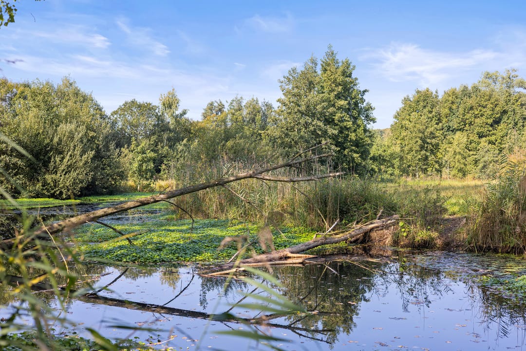 Foto 73 van Laan ten Habraken 2