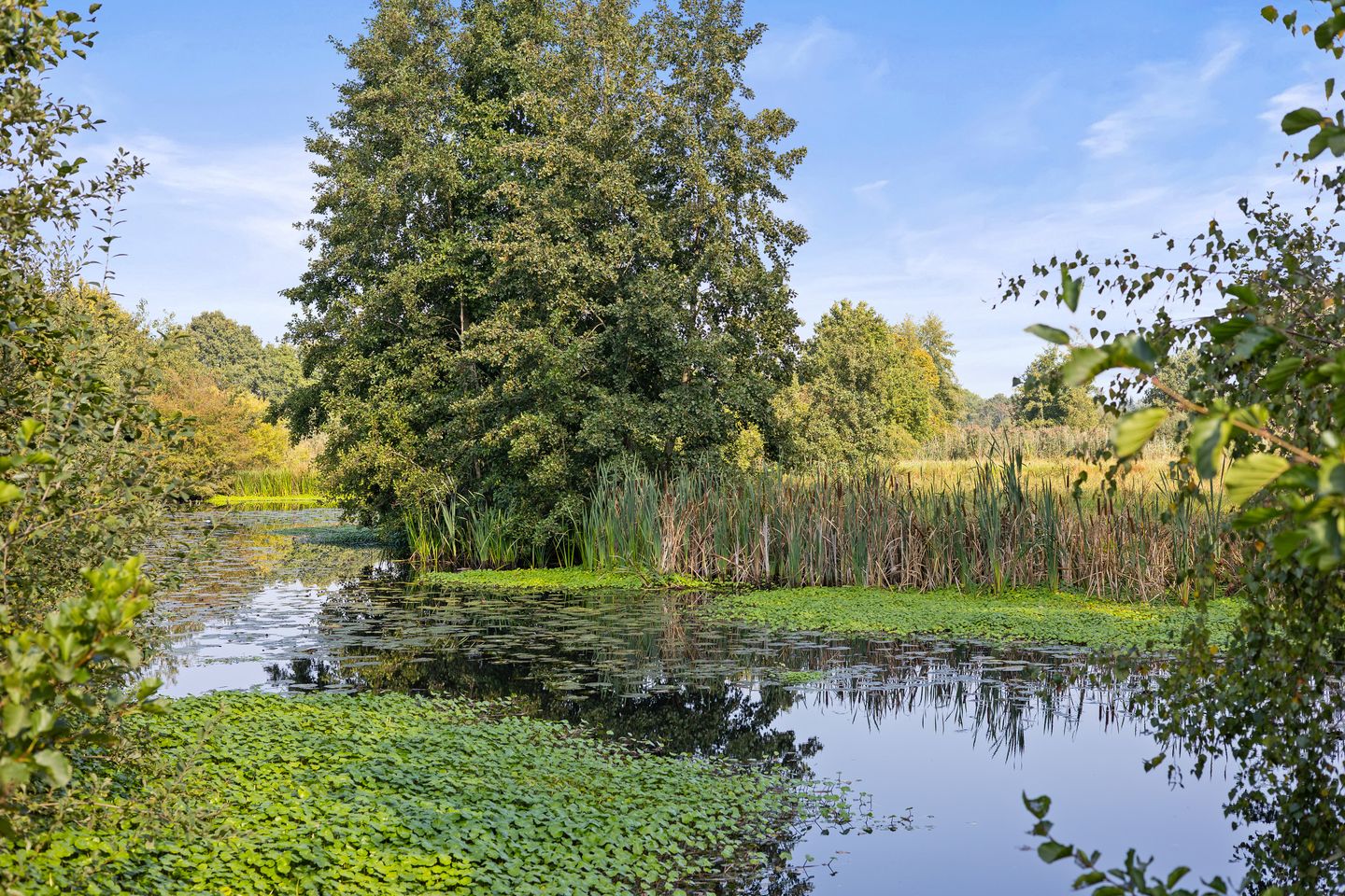 Foto 74 van Laan ten Habraken 2