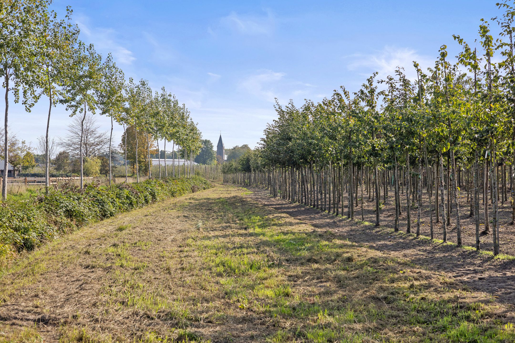 Foto 75 van Laan ten Habraken 2