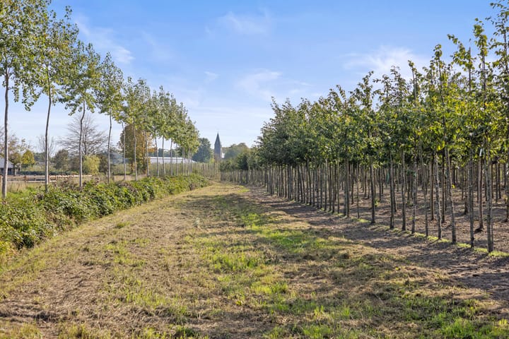 Foto 75 van Laan ten Habraken 2