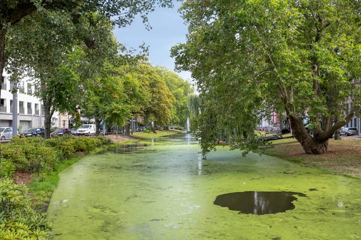 Foto 31 van Noordsingel 139