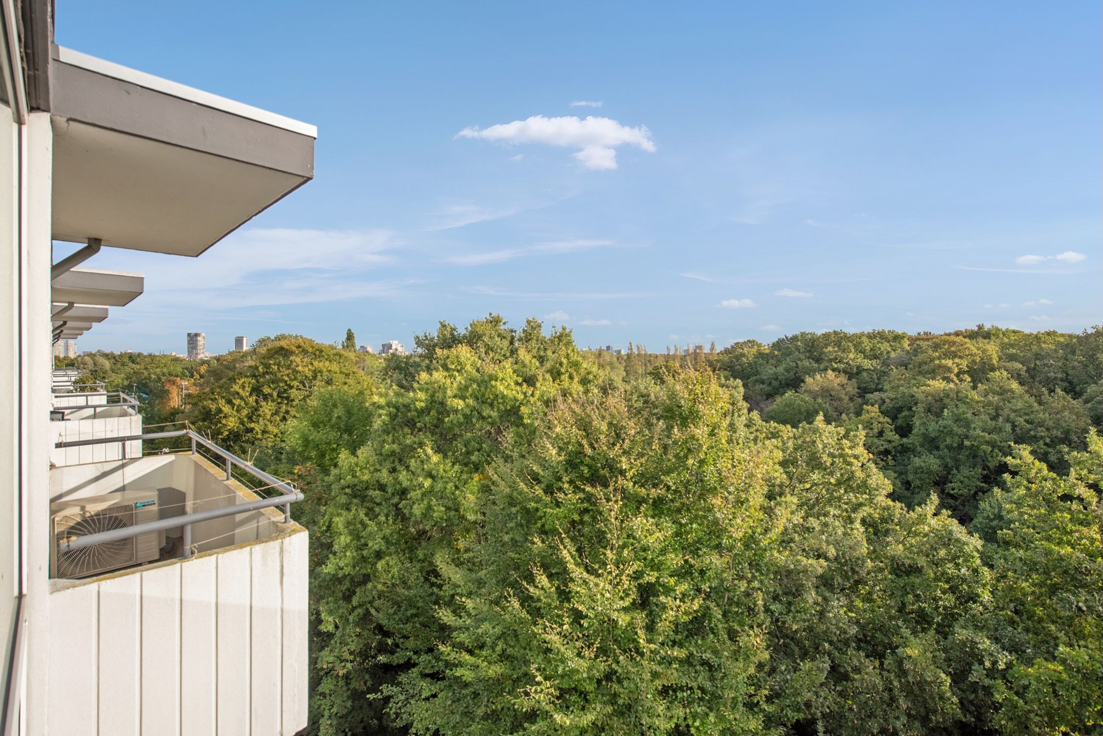 Foto 21 van Huis te Landelaan 15-F812