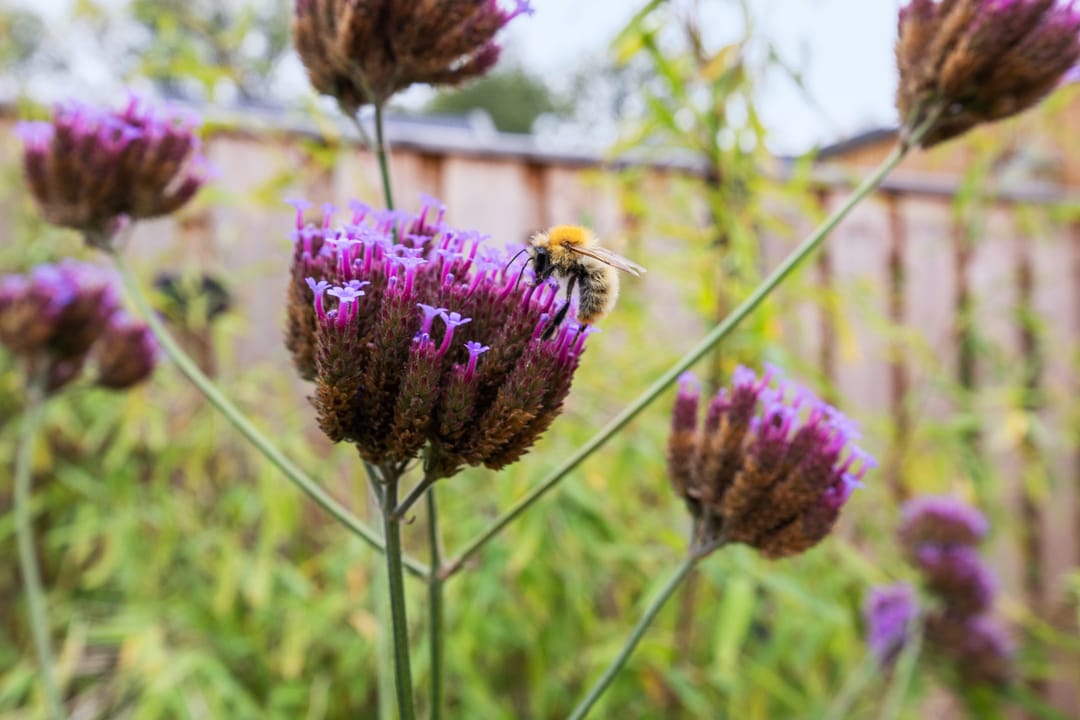 Photo 46 of Pijlerdam 7