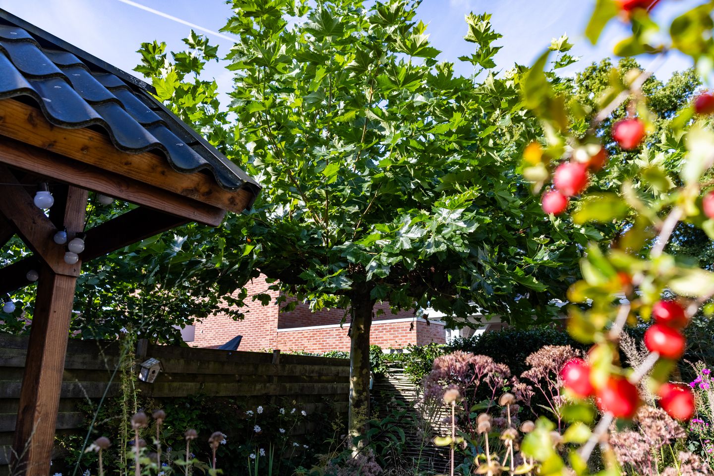 Foto 19 van Scheldestraat 6