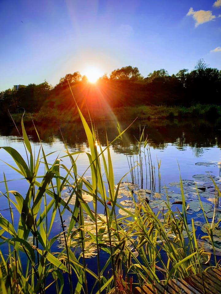 Foto 36 van Blankenbergestraat 4