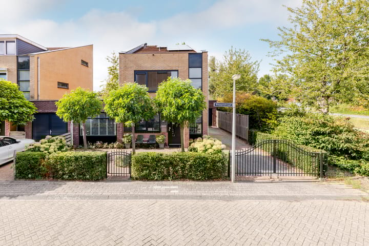 Foto 6 van Steppestraat 2