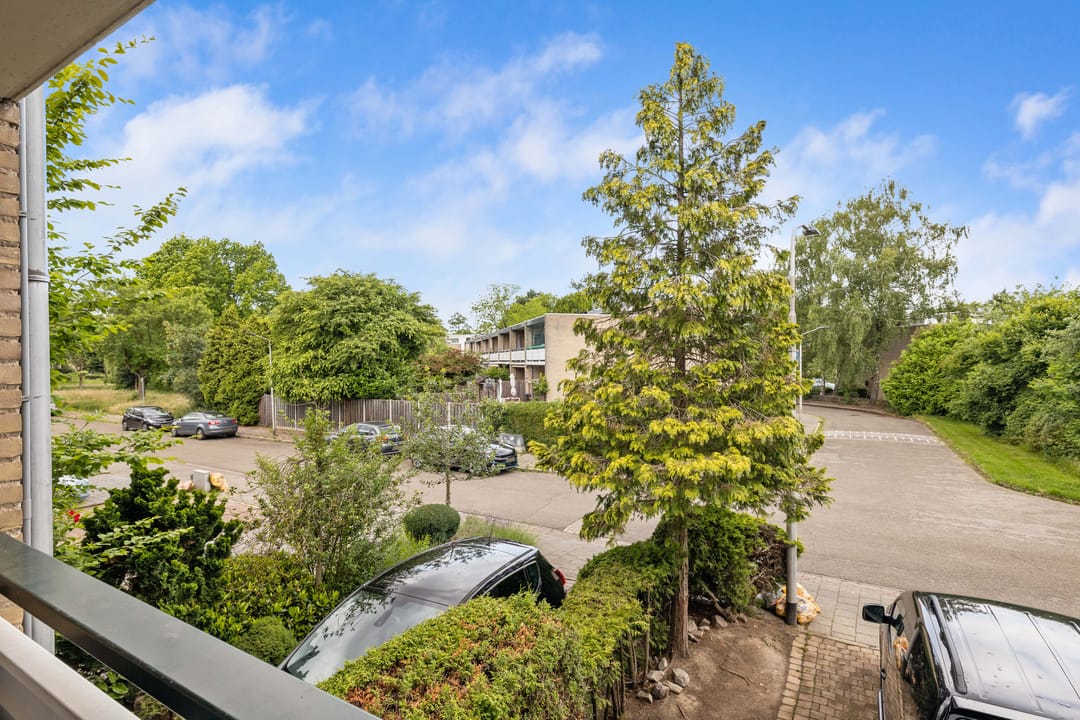 Foto 38 van Tolhuis 2028