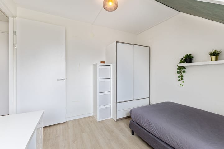 Foto 31 van De Catoenboom 3