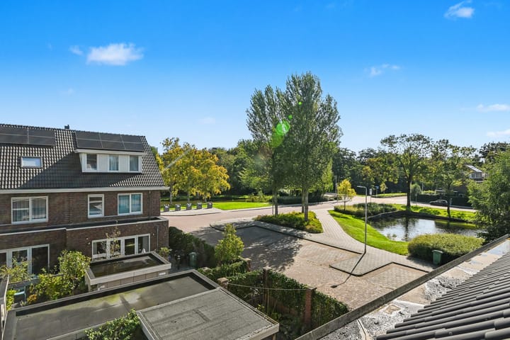 Foto 39 van De Catoenboom 3