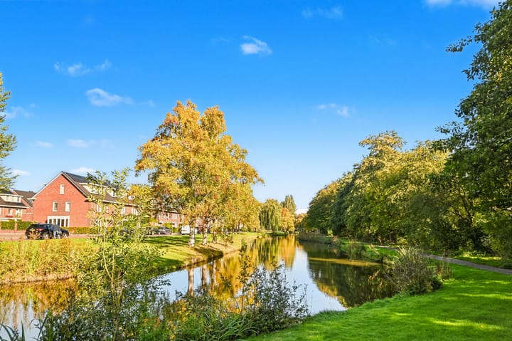 Foto 41 van De Catoenboom 3