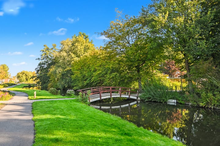 Foto 43 van De Catoenboom 3