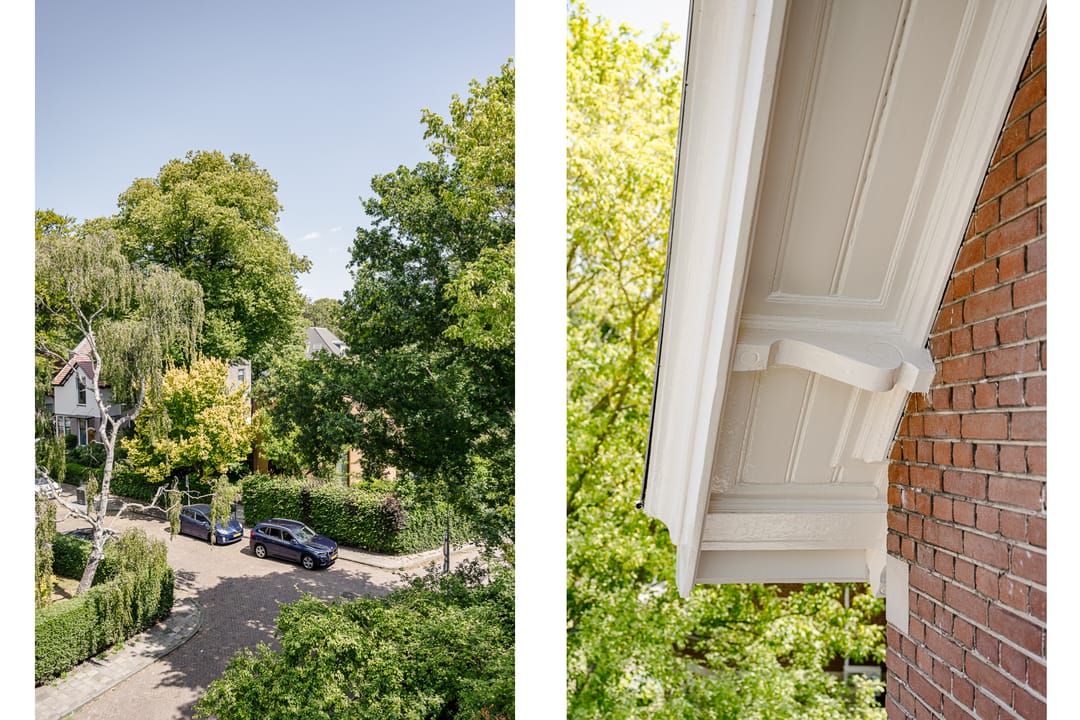 Foto 46 van Westerhoutpark 8