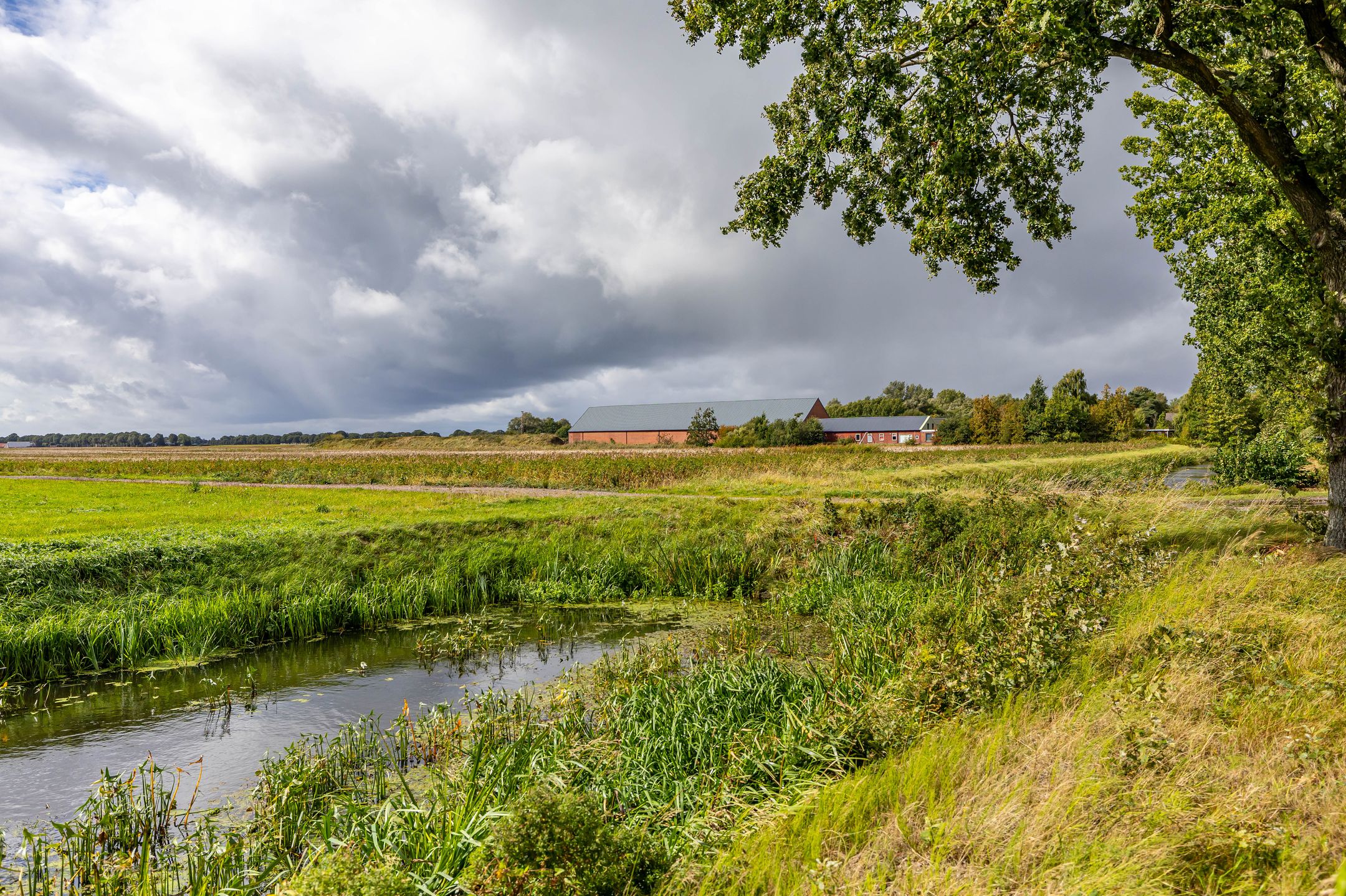 Foto 3 van Nieuwediep 65