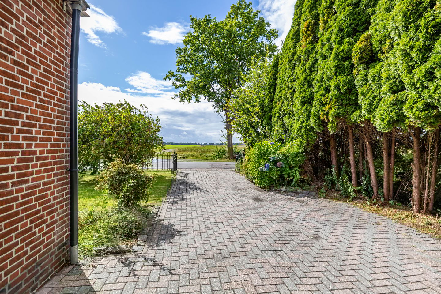 Foto 5 van Nieuwediep 65