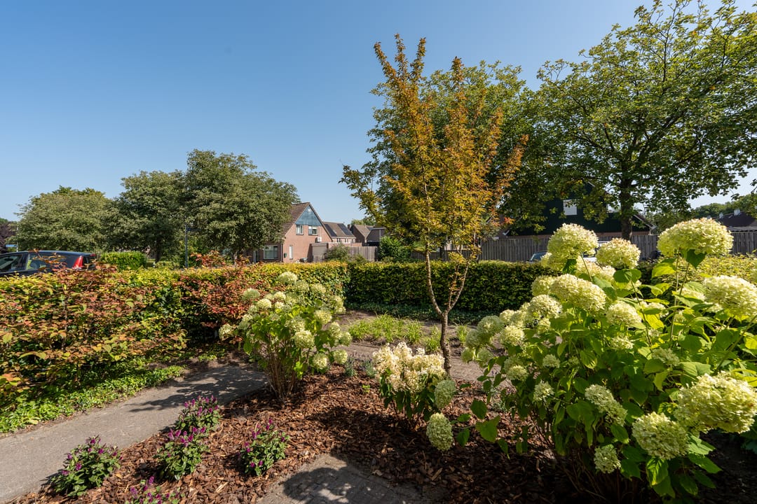 Foto 37 van Lijsterhof 30