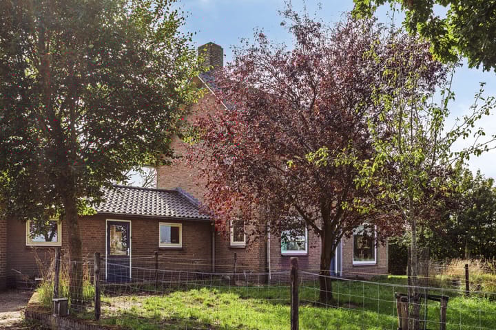 Photo 4 of De Omloop 10