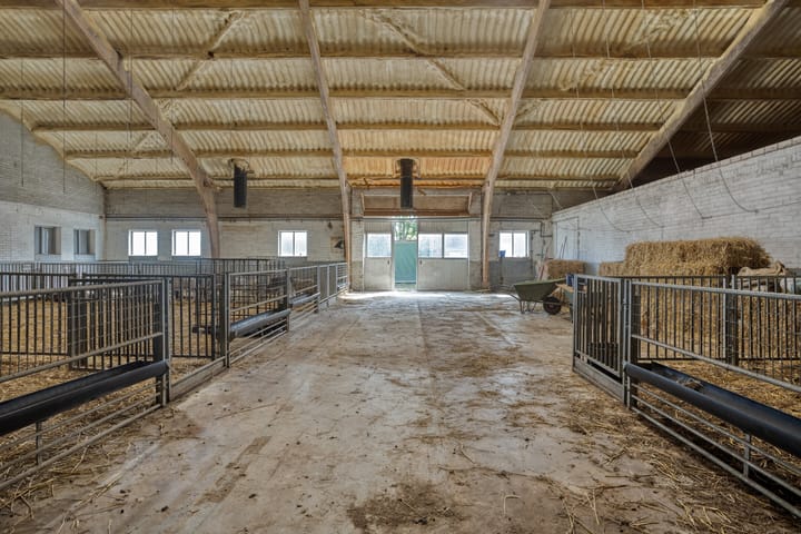 Photo 21 of De Omloop 10