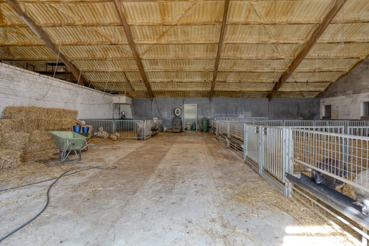 Photo 22 of De Omloop 10