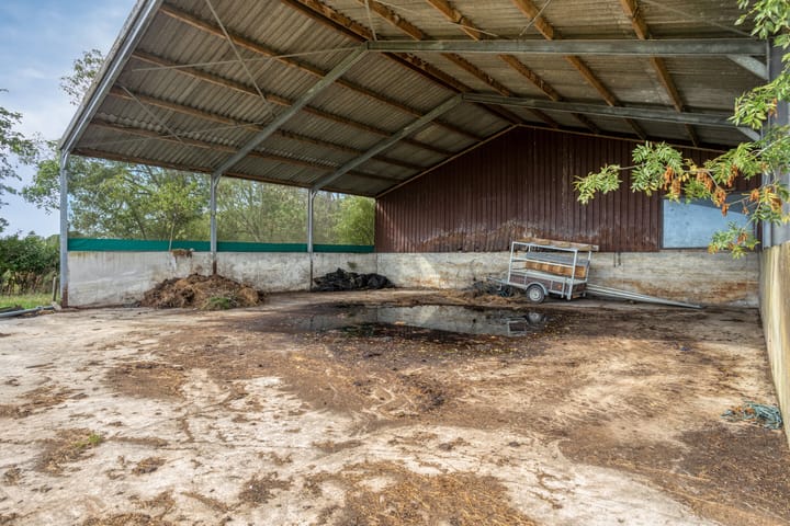 Photo 27 of De Omloop 10