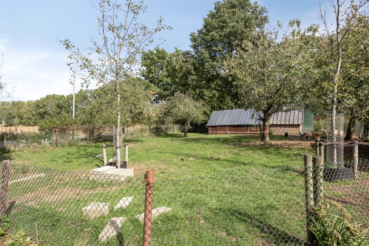 Photo 28 of De Omloop 10