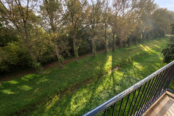 Foto 20 van Berkenlaan 205