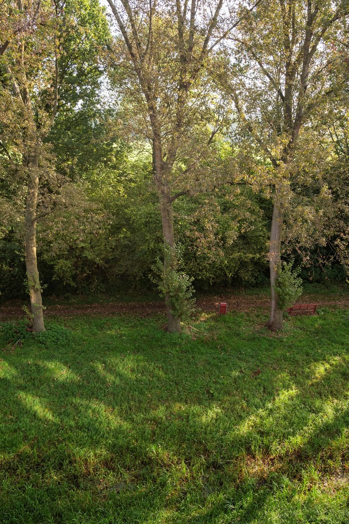 Foto 21 van Berkenlaan 205