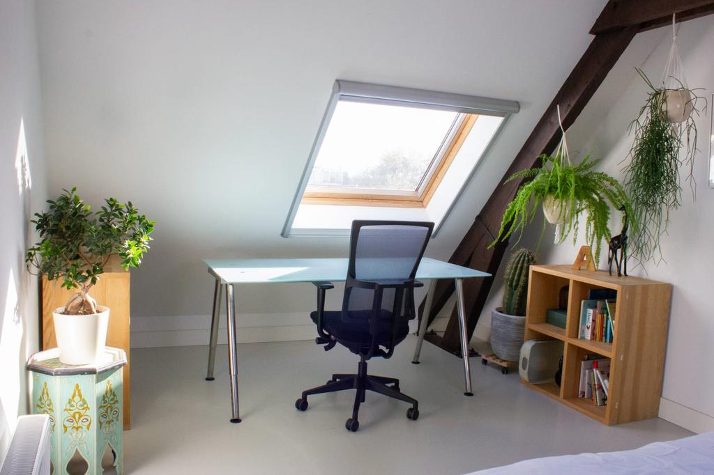 Photo 21 of Jacob van Wassenaar Obdamstraat 13-E
