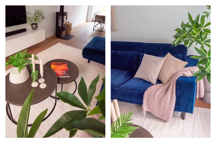 Foto 10 van Rijksstraatweg 534