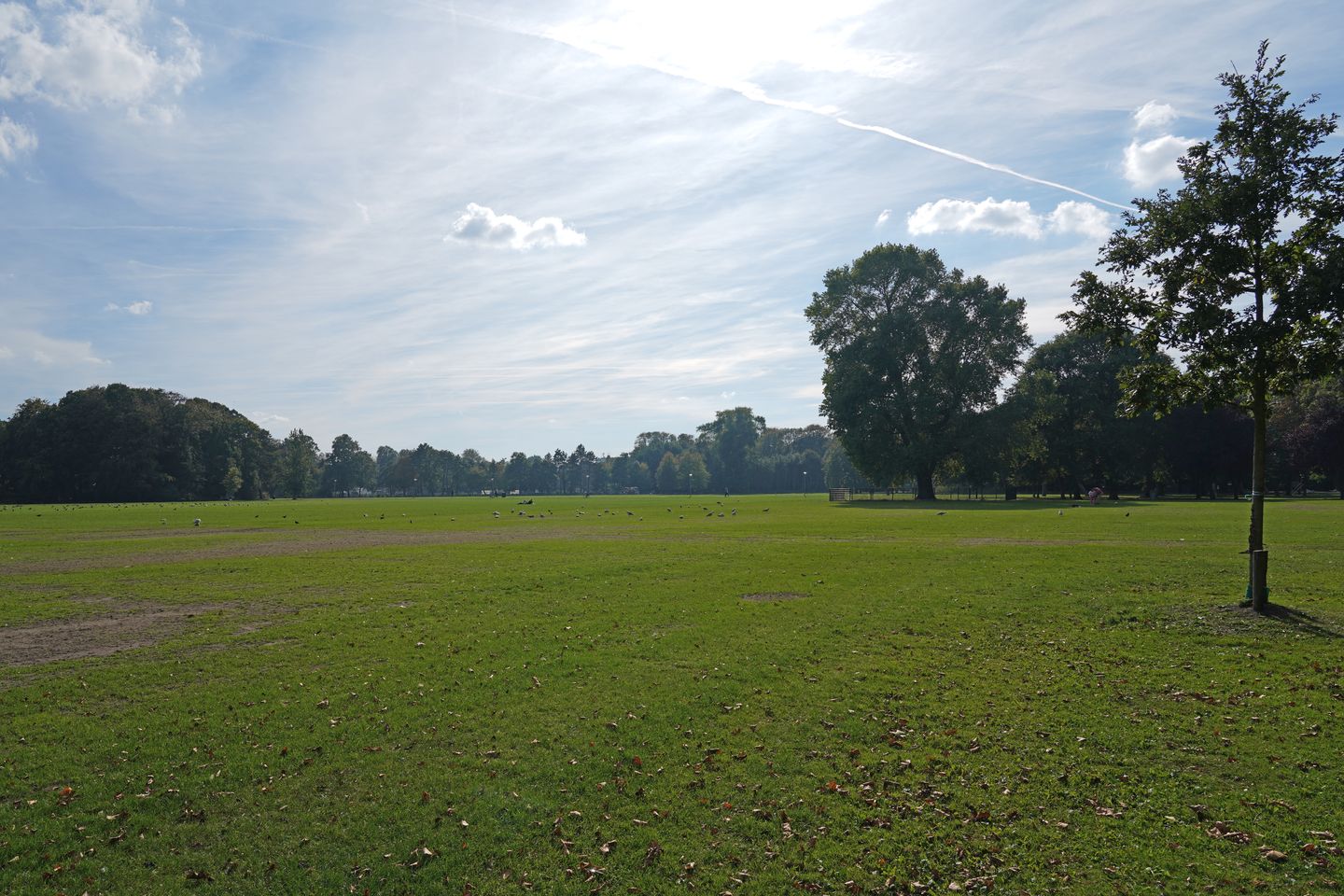 Foto 59 van Soestdijksekade 764